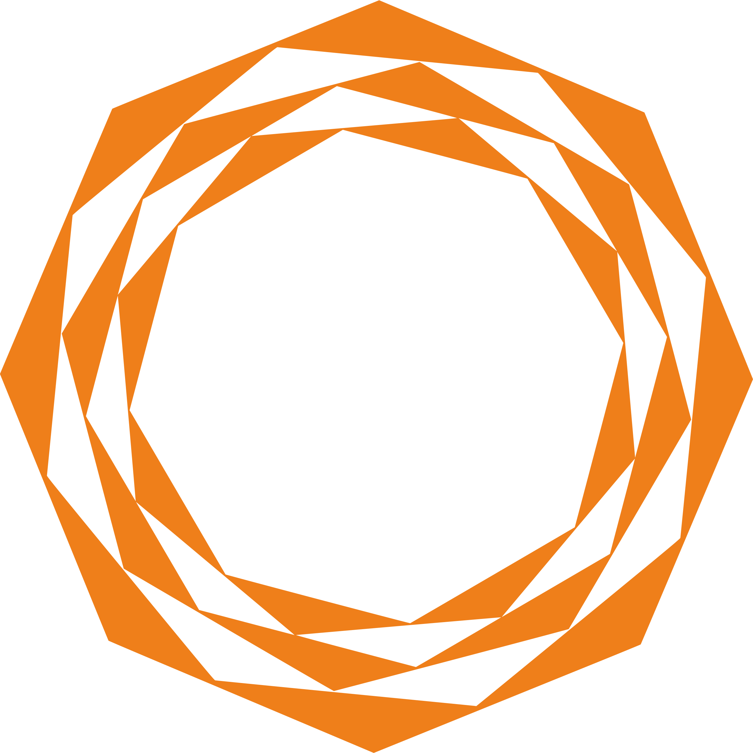 OCTAGON